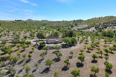 Landejendom i Velez-Rubio, Almeria, Velez-Rubio - € 170.000 | Ref: 3054-CH - foto 3